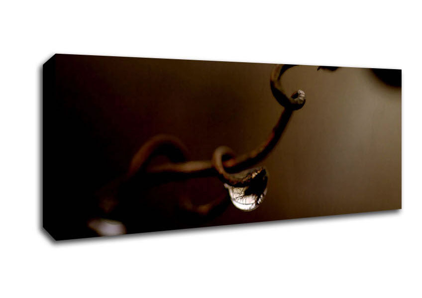 Picture of Drop Of Water Brown Panoramic Canvas Wall Art