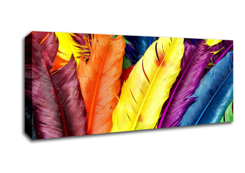 Picture of Feathers In Colours Panoramic Canvas Wall Art