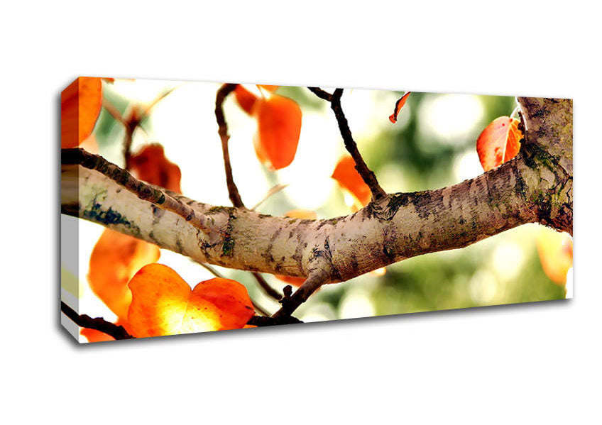 Picture of Fall Tree Panoramic Canvas Wall Art