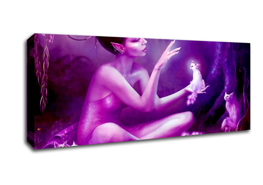 Picture of Pixie Cat Lover Panoramic Canvas Wall Art