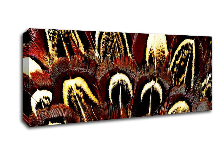 Picture of Feather Fan Panoramic Canvas Wall Art