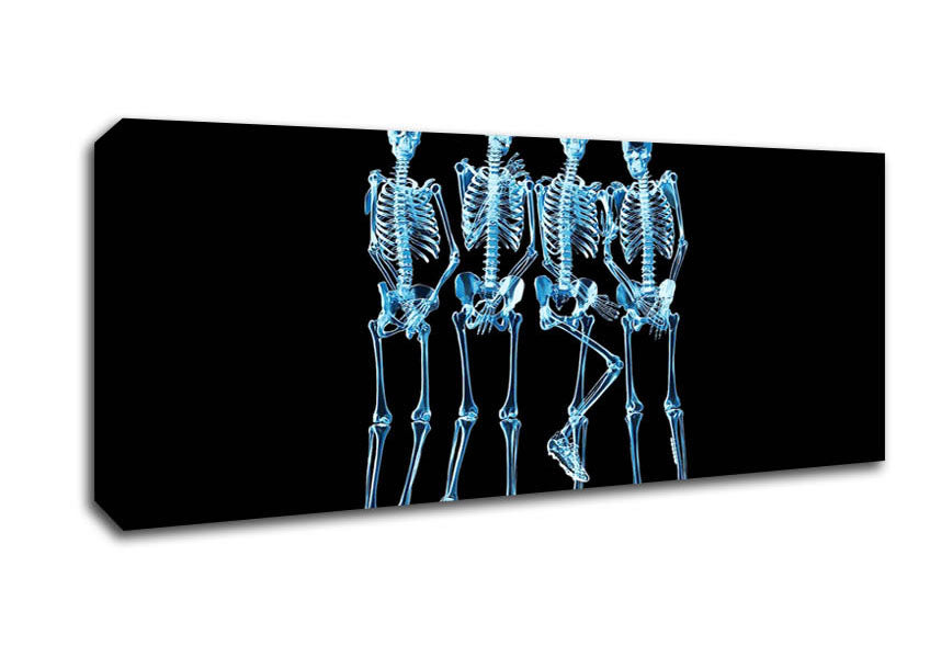 Picture of Funny Bones Panoramic Canvas Wall Art