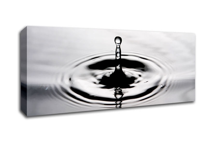 Picture of Grey Water Splash Panoramic Canvas Wall Art
