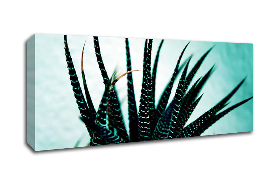 Picture of Sea Urchin Panoramic Canvas Wall Art