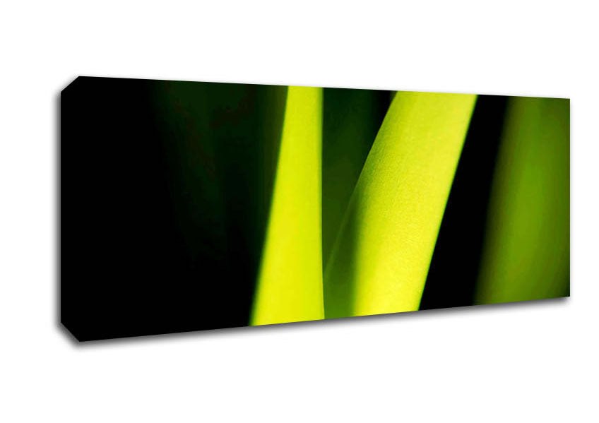 Picture of Green Leaf Shine Panoramic Canvas Wall Art