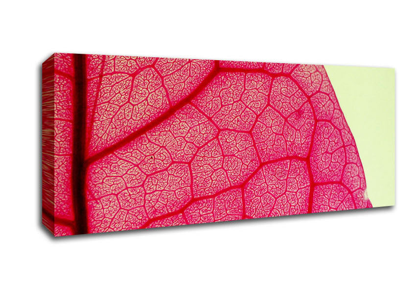Picture of Pink Leave Beauty Panoramic Canvas Wall Art