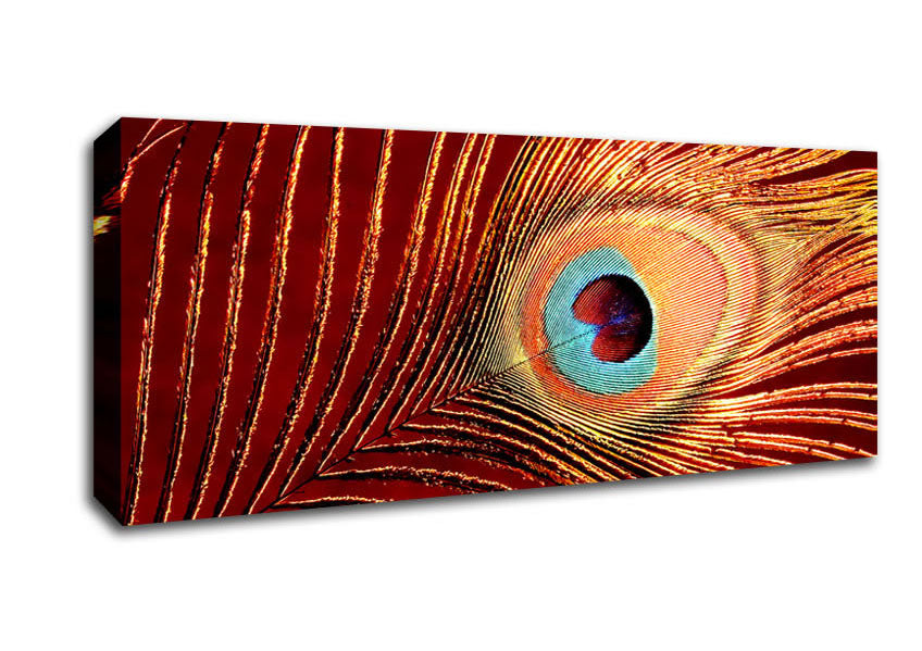 Picture of Peacock Feather 06 Panoramic Canvas Wall Art