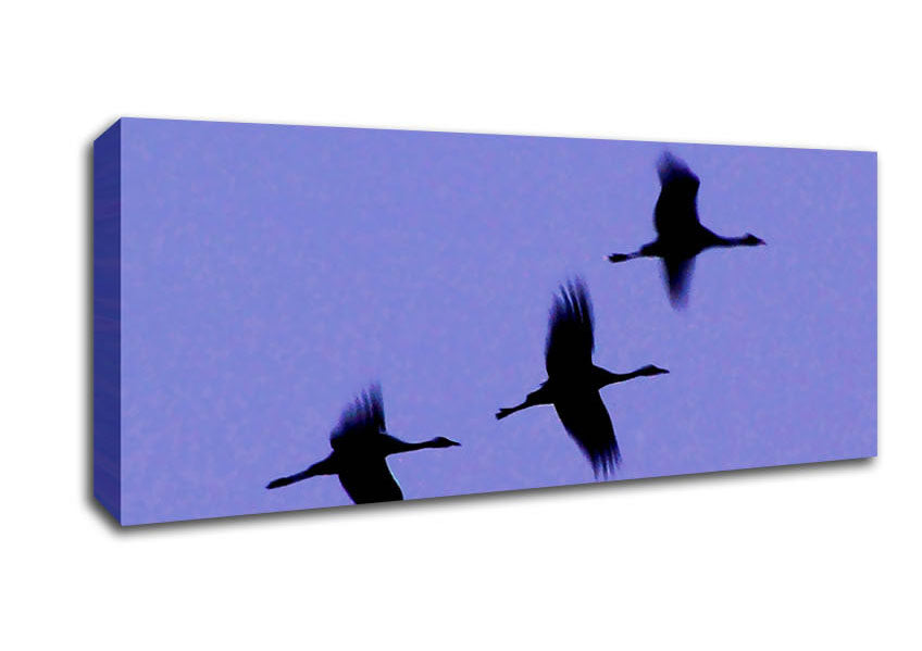 Picture of Geese Trio In Flight Purple Panoramic Canvas Wall Art
