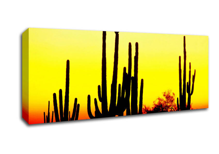 Picture of Desert Cactus Sunrise Panoramic Canvas Wall Art
