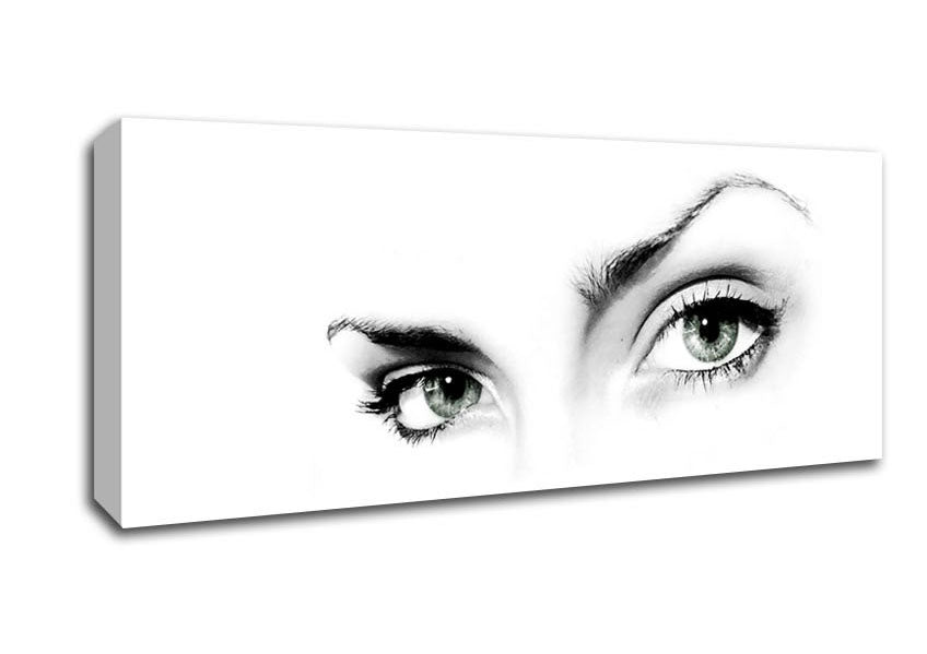 Picture of Eye Of The World Panoramic Canvas Wall Art