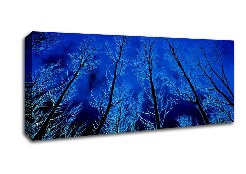 Picture of Forest By Moonlight Panoramic Canvas Wall Art