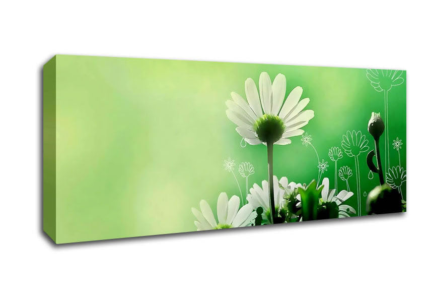 Picture of Green Daisy Garden Panoramic Canvas Wall Art