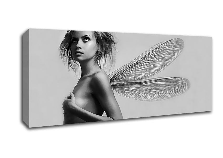 Picture of Exotic Fairy Wings B n W Panoramic Canvas Wall Art