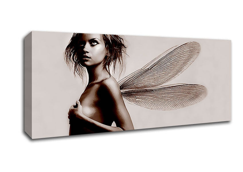 Picture of Exotic Fairy Wings Chocolate Panoramic Canvas Wall Art