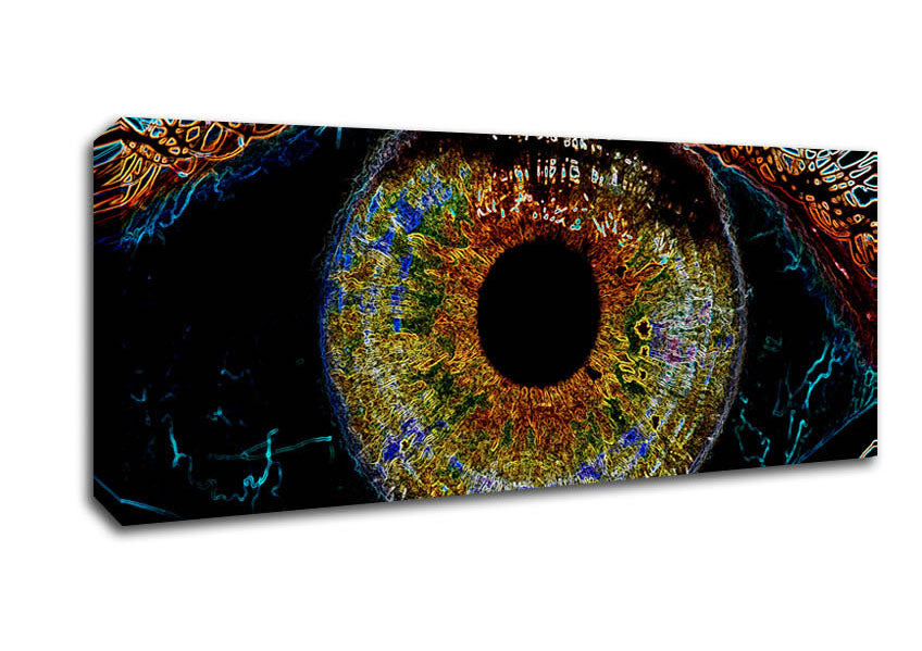 Picture of Abstract Eye Panoramic Canvas Wall Art
