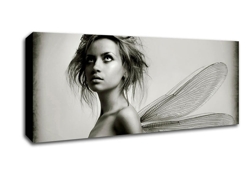 Picture of Exotic Fairy Wings Close-up Panoramic Canvas Wall Art