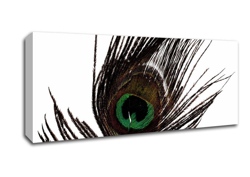 Picture of Peacock Eye Feather Panoramic Canvas Wall Art