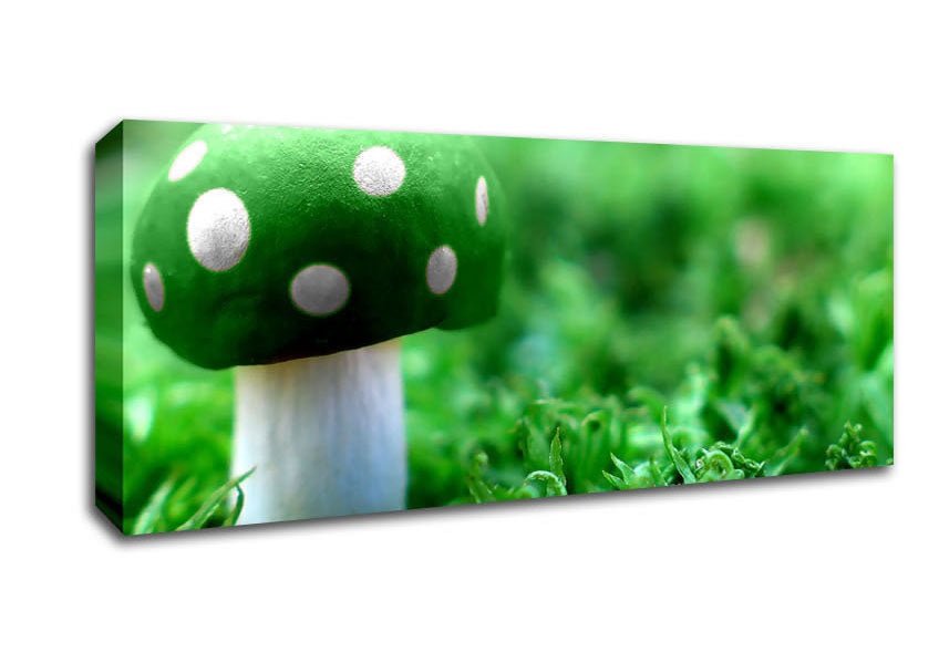 Picture of Green Mushroom Panoramic Canvas Wall Art