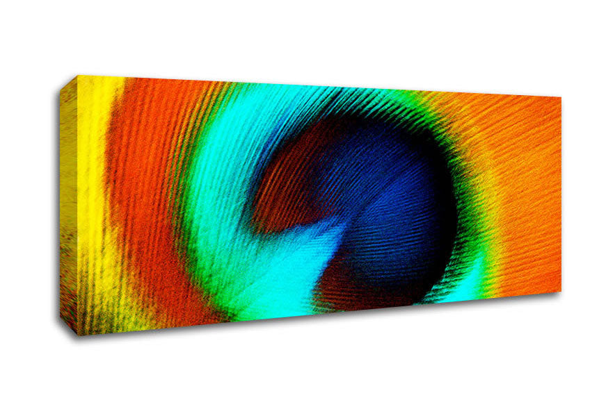 Picture of Peacock Feather Eye Close-Up Panoramic Canvas Wall Art