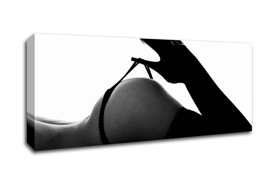 Picture of G-String Stockings B n W Panoramic Canvas Wall Art