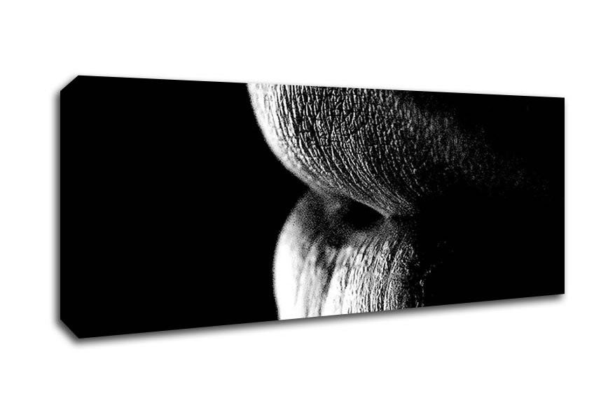 Picture of Sensual Lips B n W Panoramic Canvas Wall Art