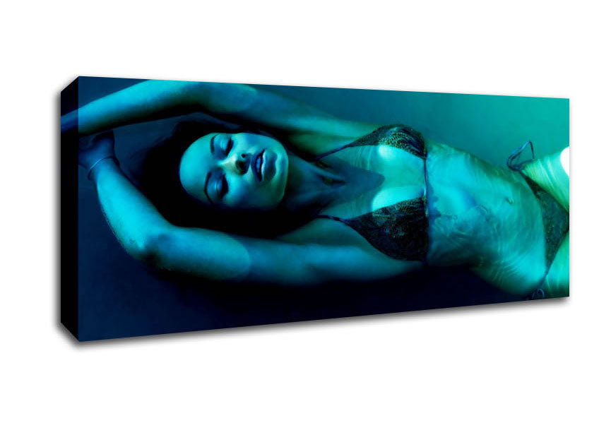 Picture of Petal Waters Panoramic Canvas Wall Art