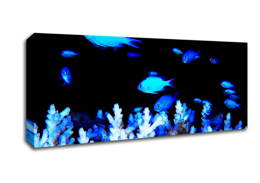Picture of The Ocean World Panoramic Canvas Wall Art