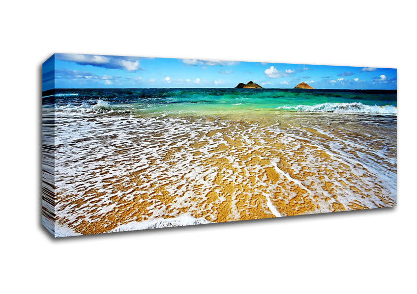 Picture of Ocean Paradise Panoramic Canvas Wall Art