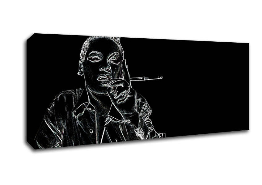 Picture of Pink Panoramic Canvas Wall Art