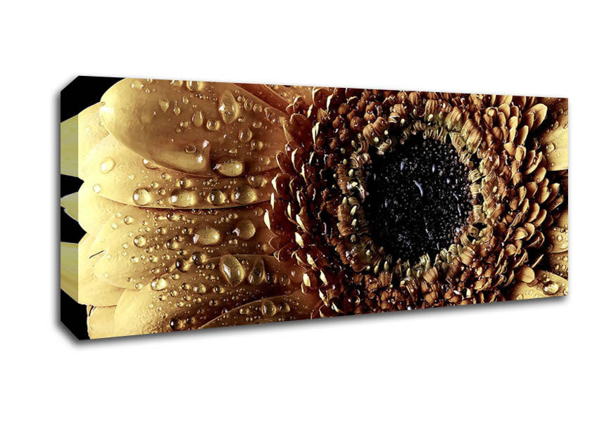 Picture of Gerbera Vintage Panoramic Canvas Wall Art