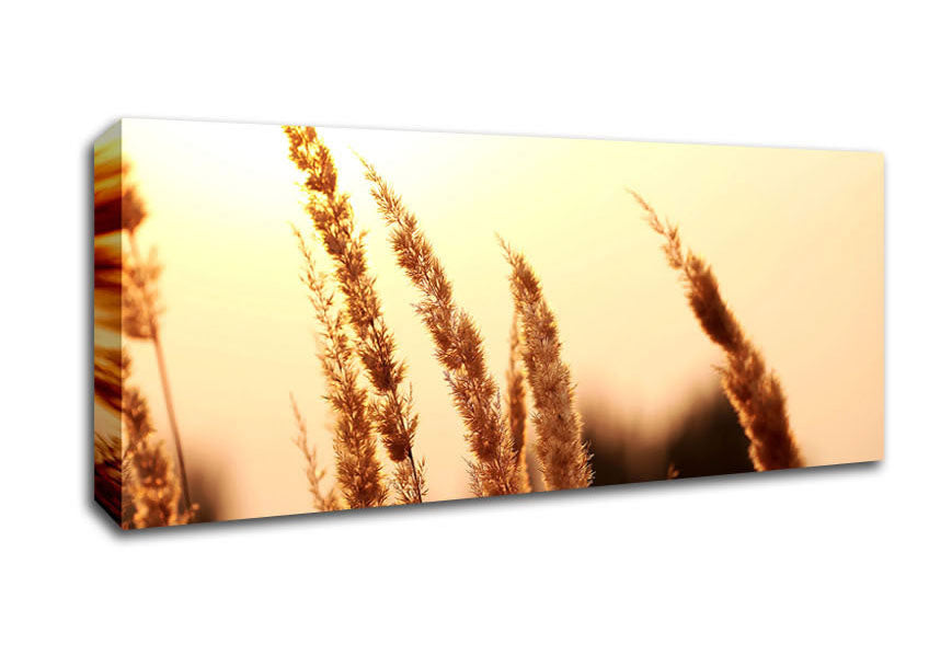 Picture of Yellow Sunset Panoramic Canvas Wall Art