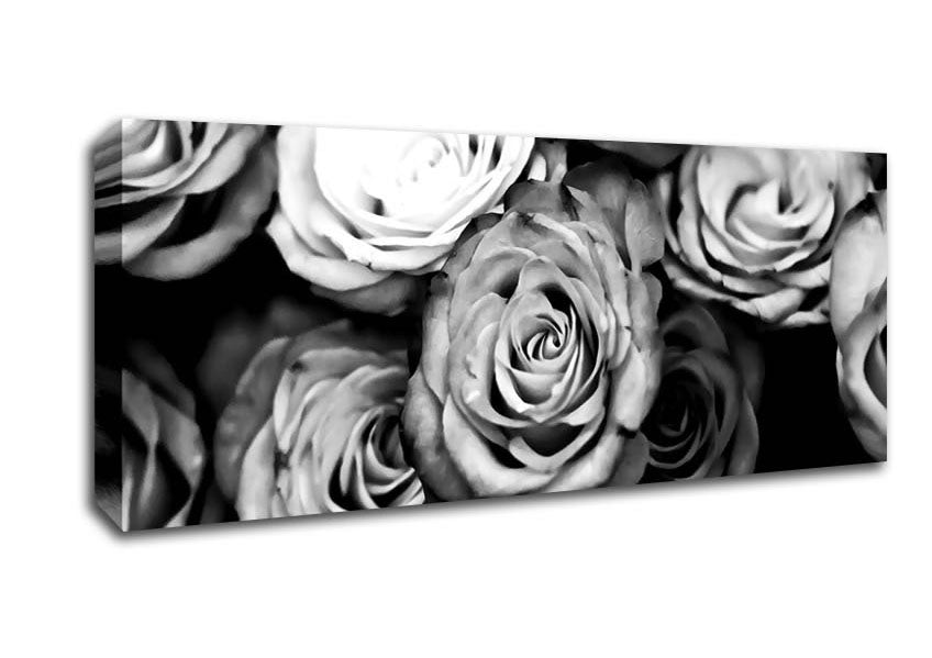 Picture of Roses Black And White Panoramic Canvas Wall Art