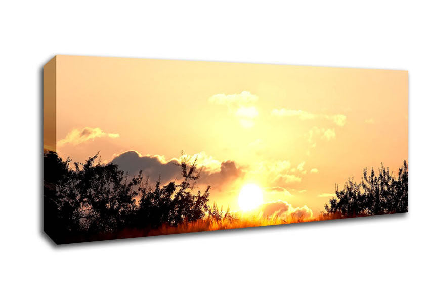 Picture of Golden Wheat Field At Sunset Panoramic Canvas Wall Art
