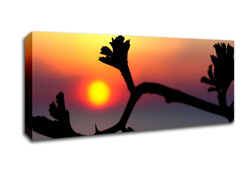 Picture of Embrace The Sun Panoramic Canvas Wall Art