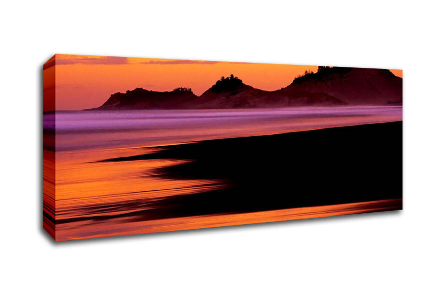 Picture of Peach Delight Panoramic Canvas Wall Art