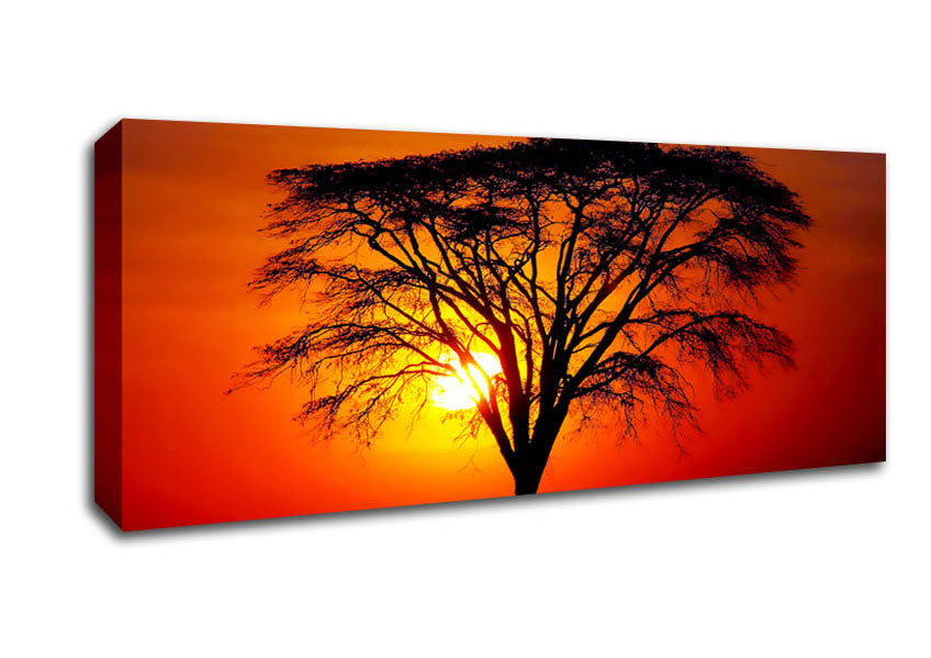 Picture of Sunset Through The Trees Panoramic Canvas Wall Art