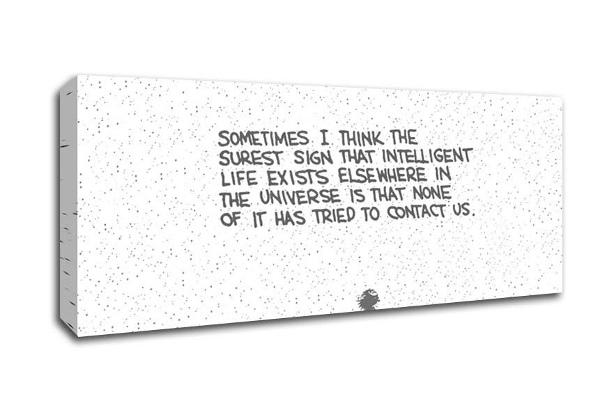 Picture of Funny Quote Sometimes I Think The Surest Sign Grey Panoramic Canvas Wall Art