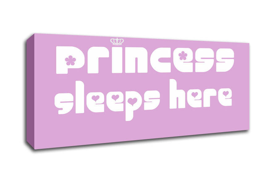 Picture of Nursery Quote Princess sleeps 2 Pink Panoramic Canvas Wall Art