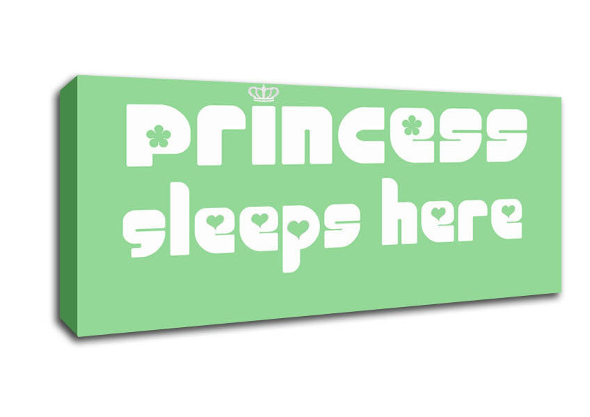 Picture of Nursery Quote Princess sleeps 2 Green Panoramic Canvas Wall Art