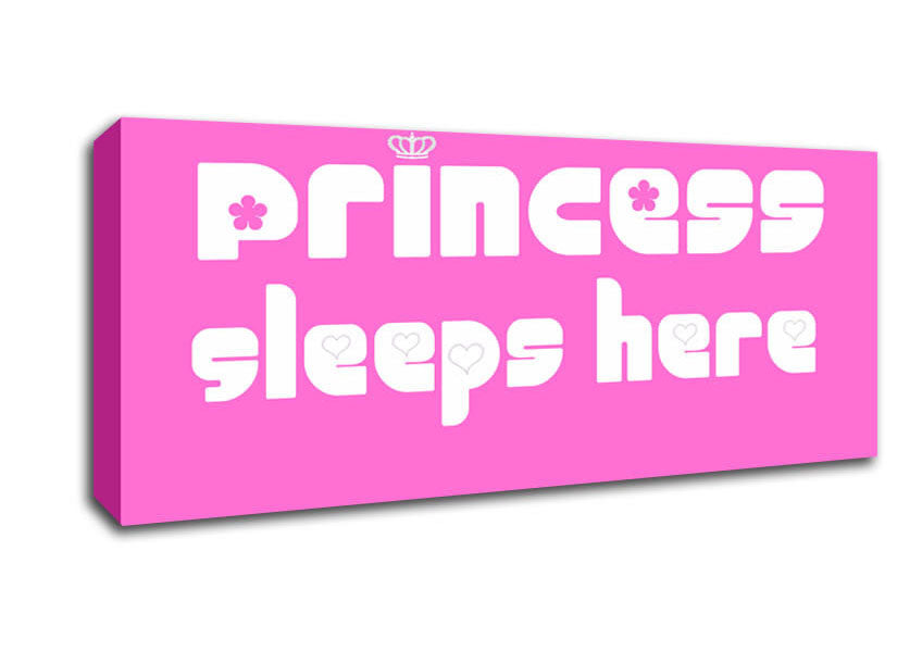 Picture of Girls Room Quote Princesss Sleeps Here 2 Vivid Pink Panoramic Canvas Wall Art