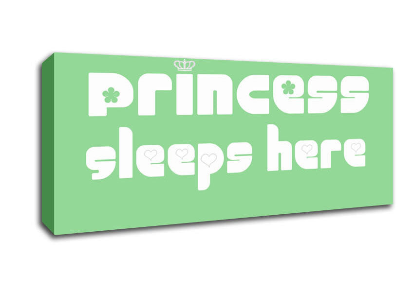 Picture of Princesss Sleeps Here 2 Green Panoramic Canvas Wall Art