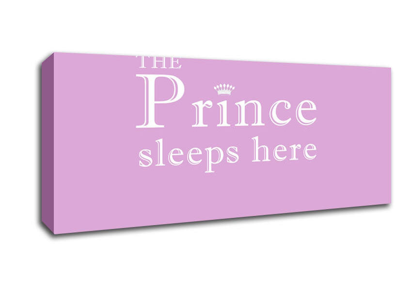 Picture of Nursery Quote The Prince Sleeps Here Pink Panoramic Canvas Wall Art