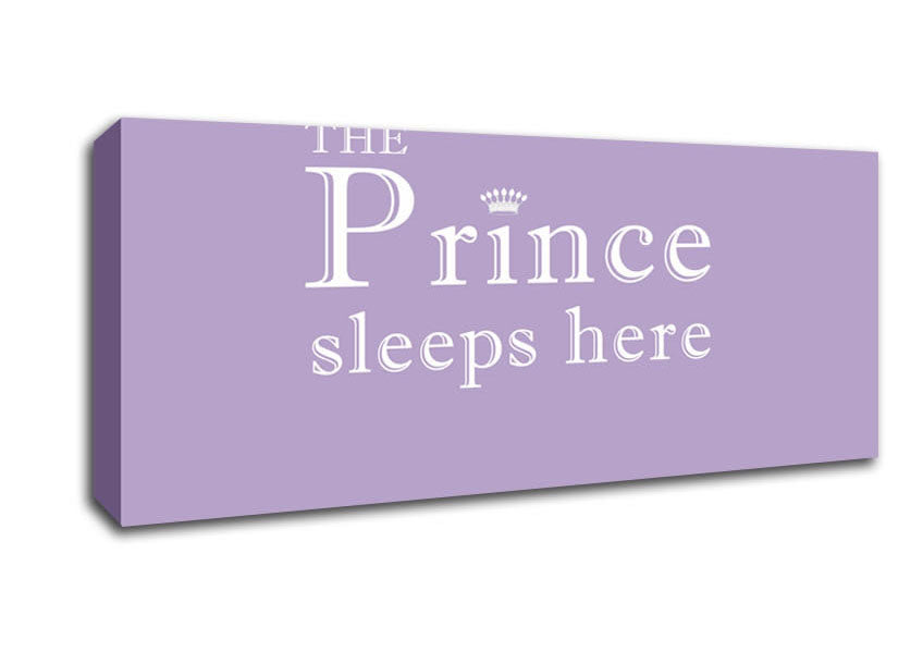 Picture of Nursery Quote The Prince Sleeps Here Lilac Panoramic Canvas Wall Art