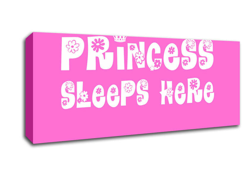 Picture of Nursery Quote Princesss Sleeps Here Vivid Pink Panoramic Canvas Wall Art