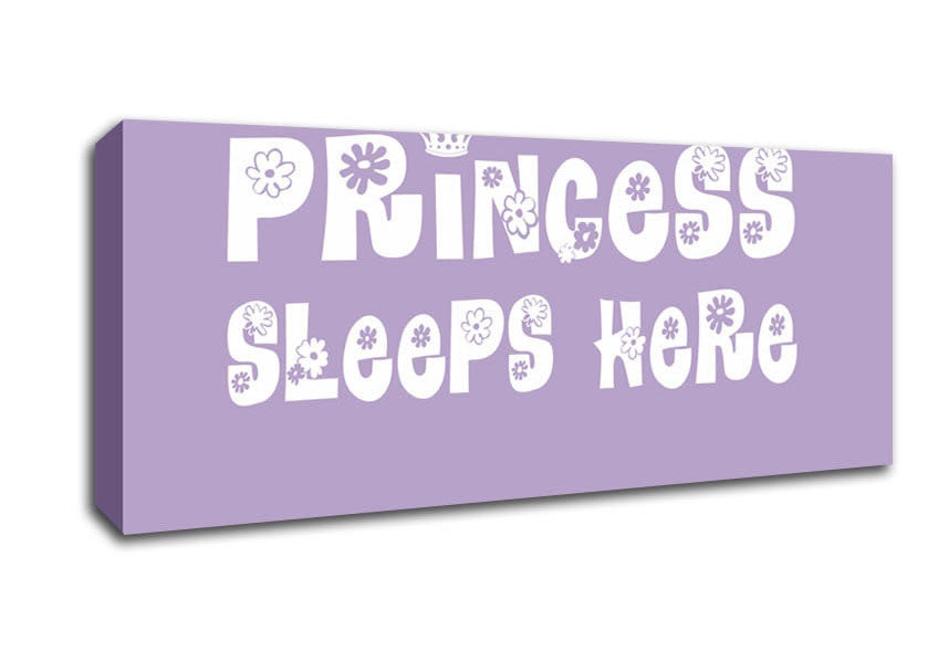 Picture of Nursery Quote Princesss Sleeps Here Lilac Panoramic Canvas Wall Art