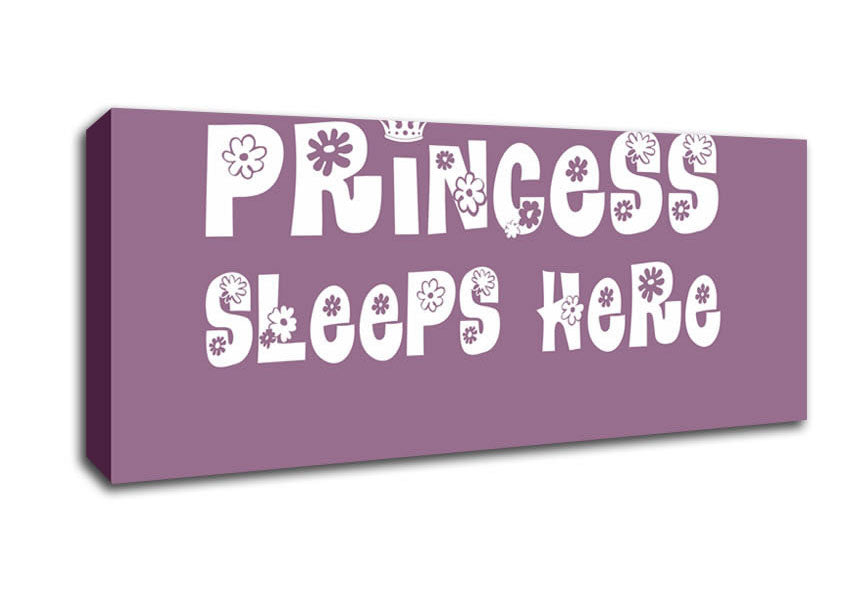 Picture of Girls Room Quote Princesss Sleeps Here Dusty Pink Panoramic Canvas Wall Art
