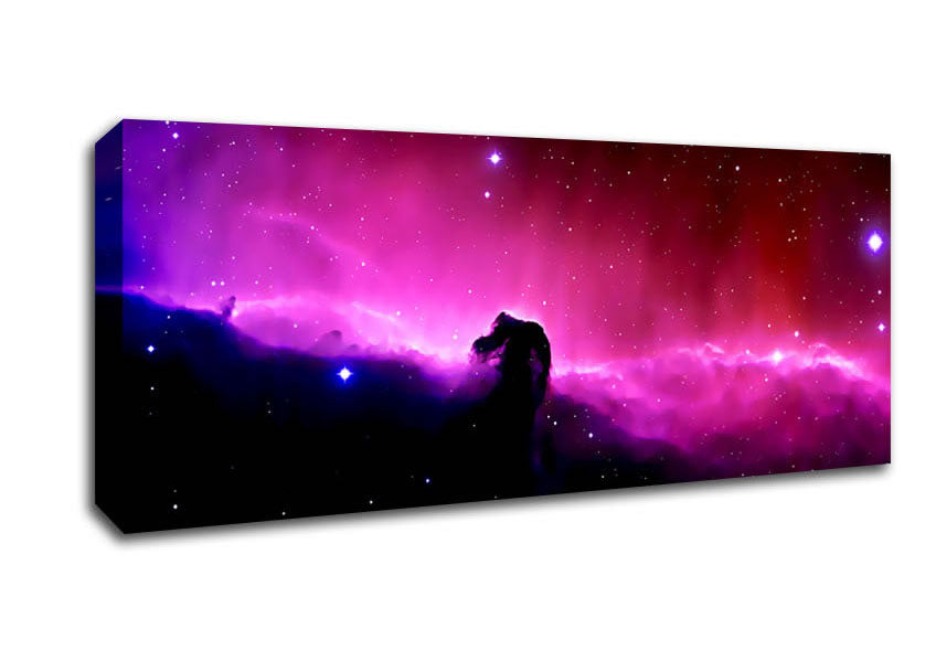 Picture of The Stunning Horsehead Nebula Panoramic Canvas Wall Art