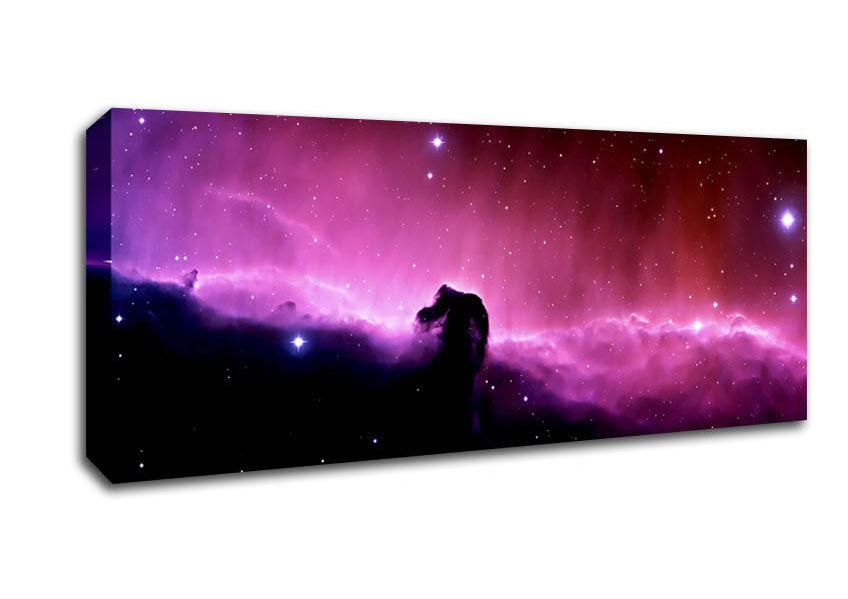 Picture of Pink Horsehead Nebula Panoramic Canvas Wall Art