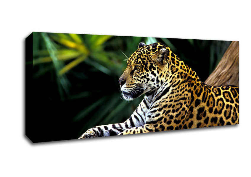 Picture of Jaguar In The Amazon Rainforest Panoramic Canvas Wall Art