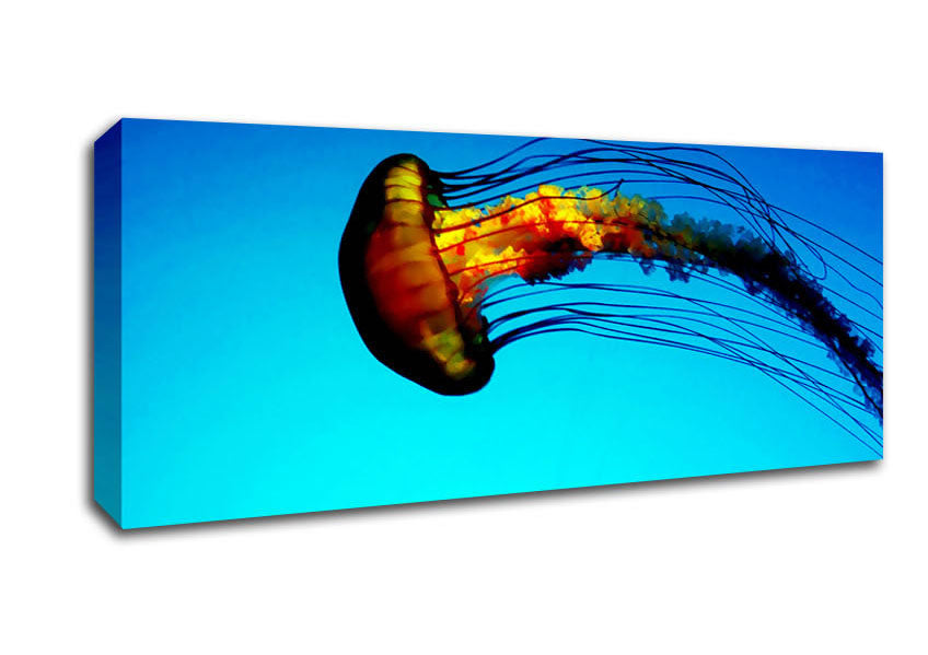Picture of Ocean Jellyfish Panoramic Canvas Wall Art